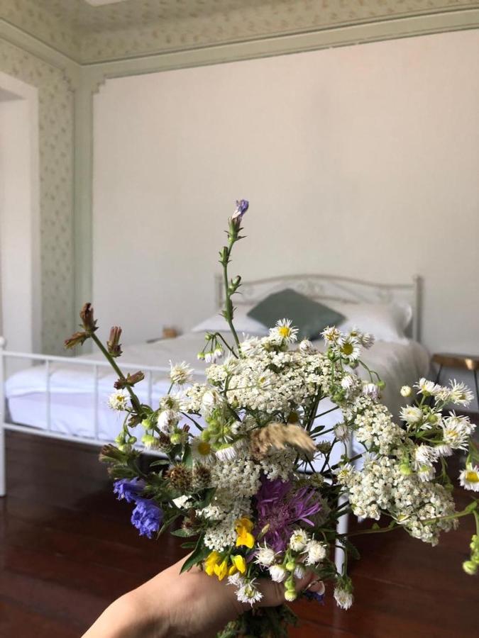 Texas House Guest House Novaci-Străini Eksteriør bilde